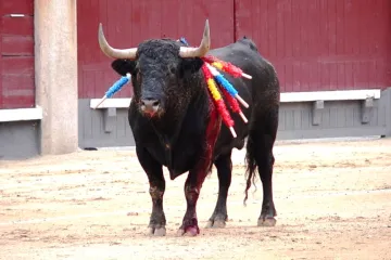 Španělsko čelí záplavě turistů