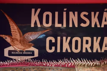 BLOG: Cikorka a kukuřičná mouka. Novodobé náhražky potravin jsou známy již více než 200 let