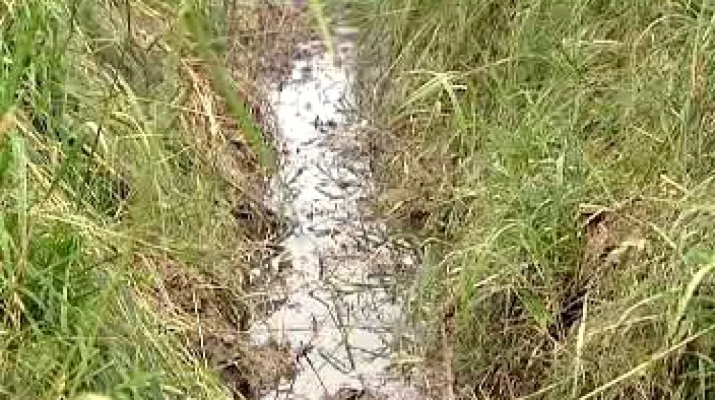 Vyschlý potok
