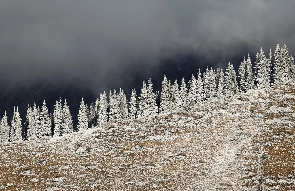 V pohoří kolem města Almaty se vyskytly nečekaně rychle silné mrazy, které překvapily i samotnou přírodu