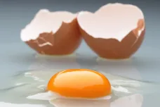 Veterináři zkontrolují všechna vejce z dovozu. Jedovatý insekticid přijíždí i z Německa