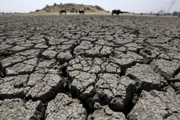 Extrémní hurikány, vlny vražedného vedra a klimatická změna v plném proudu. Počasí v roce 2017 bylo divoké