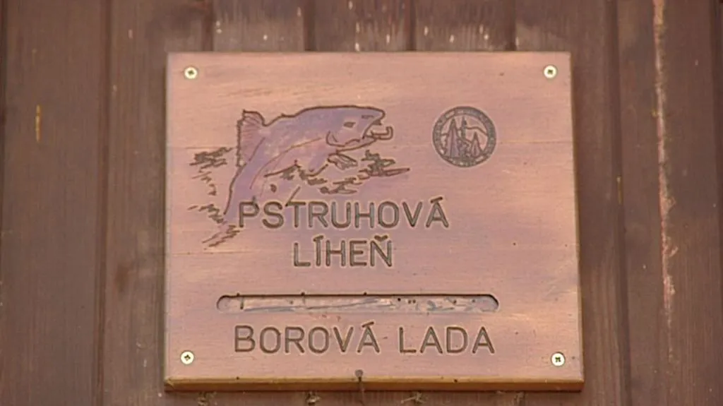 Líheň ryb v Borové Ladě