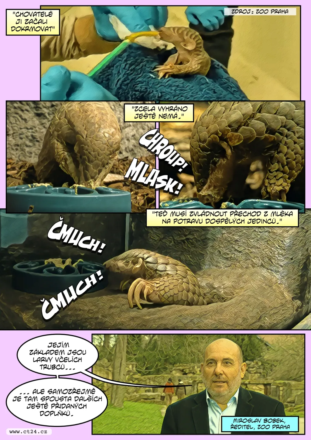 Pražská zoo pokřtila první mládě luskouna v Evropě, samička se jmenuje Šiška