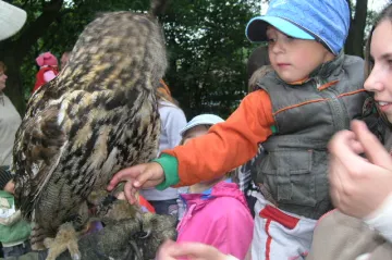 Ukázky dravých ptáků a projížďky na koních
