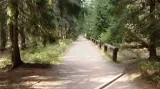 Šumava