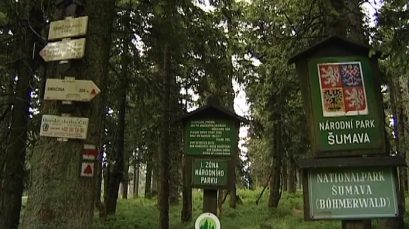 Národní park Šumava