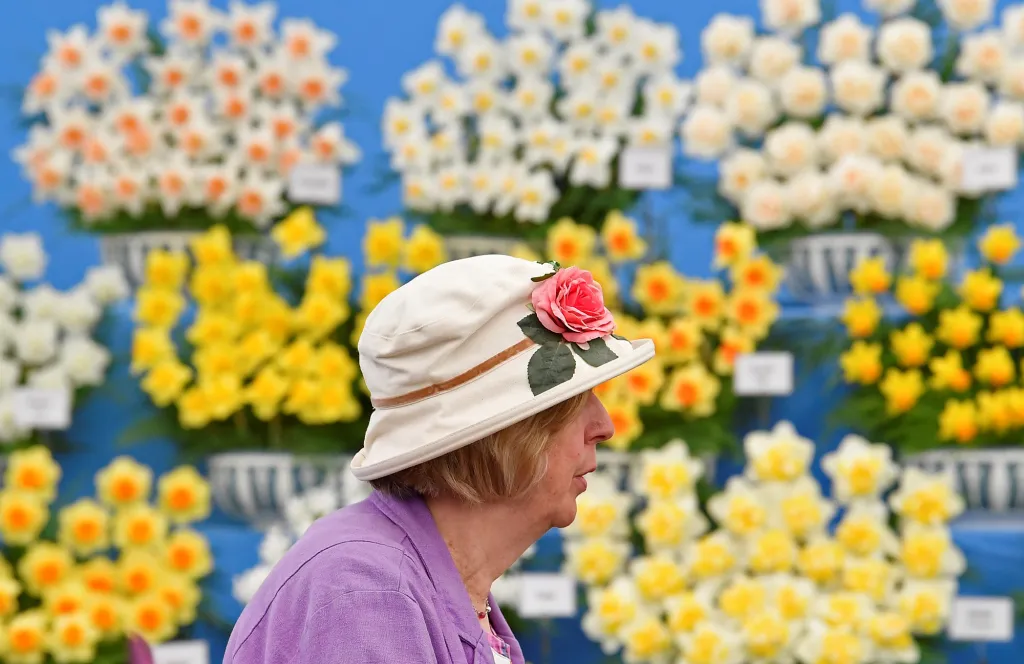 Chelsea Flower Show 2019