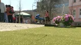 Odpoledne ozdobil náměstí umělý trávník