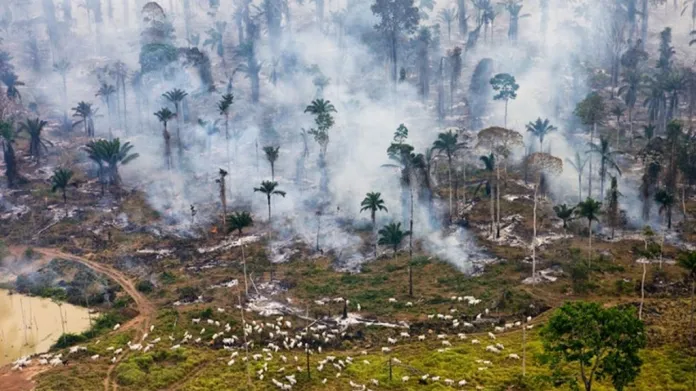 Úbytek brazilského pralesa v Amazonii
