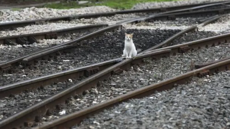 Na řeckých železnicích se stávkuje