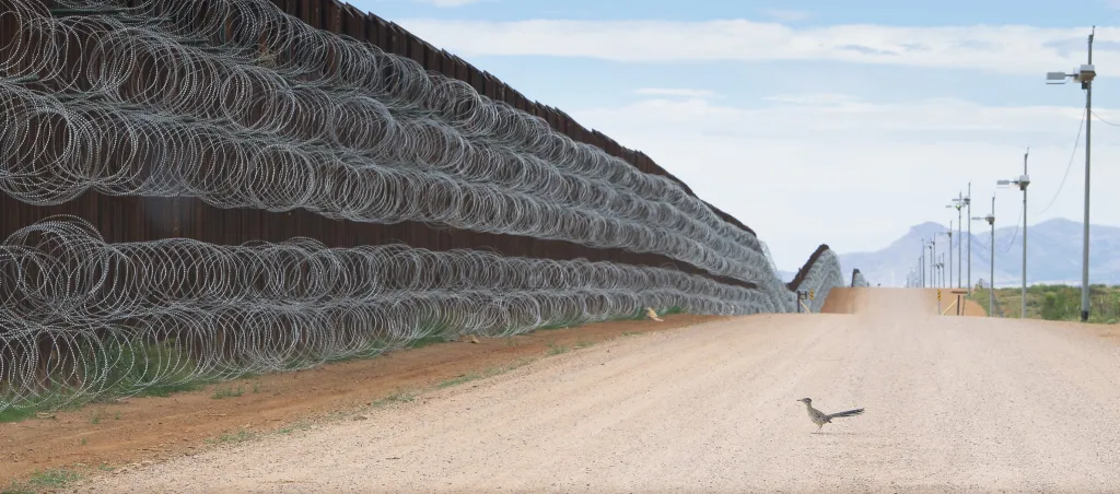 Nominace v sekci samostatná fotografie: Alejandro Prieto se snímkem Roadrunner Approaching the Border Wall (Kukačka kohoutí se blíží k hraniční zdi). Zeď podél americké hranice s Mexikem narušuje přechody zvířat, jejich stanoviště a přístup k vodě a potravě