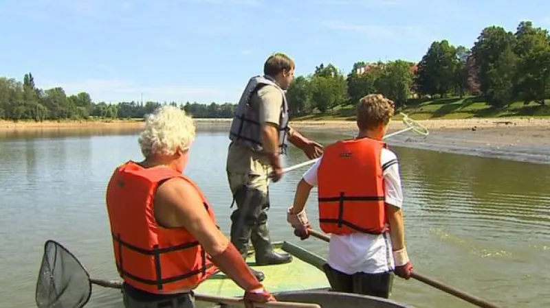 Reportáž Kristiny Vrkočové