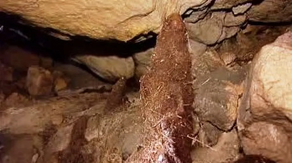 Kořenový stalagmit