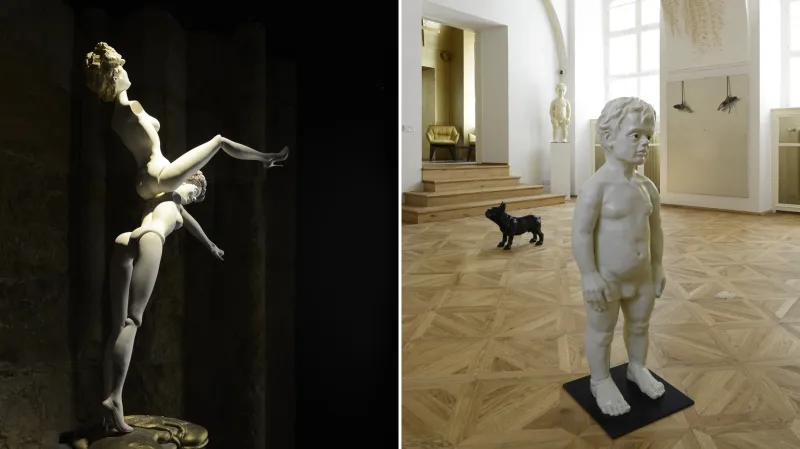 Z výstavy Reality Show (galerie Arcimboldo)