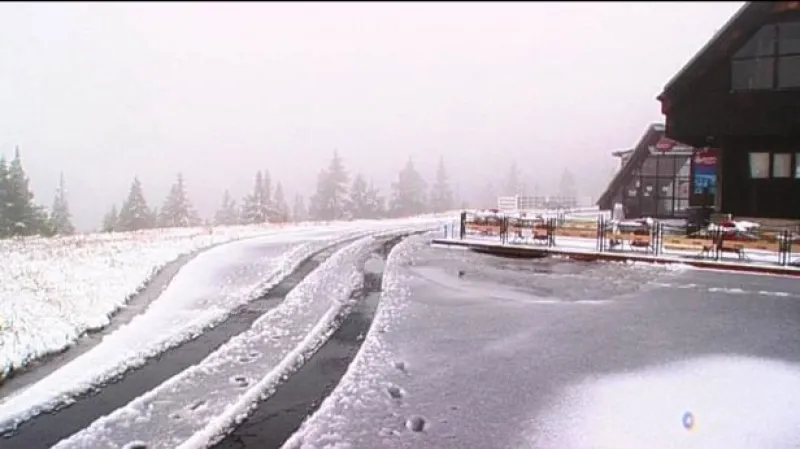 Reportáž Květy Gebauerové