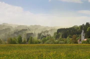 Pylové zpravodajství je věda. Složitý proces varuje alergiky před hrozbami