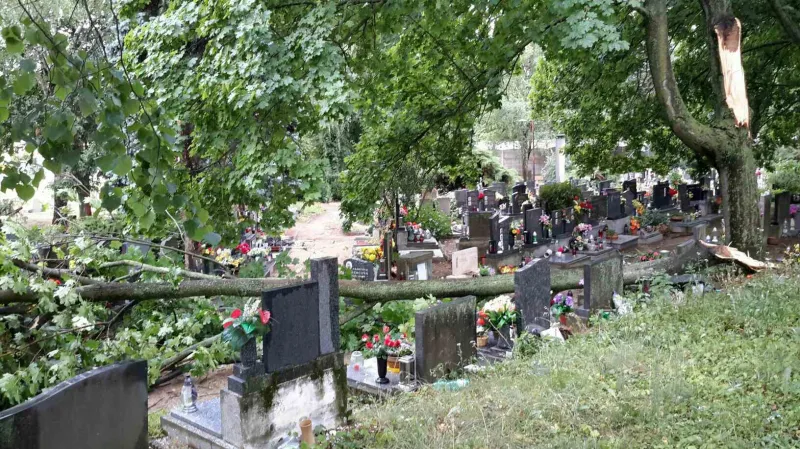 Hasiči v Jihomoravském kraji měli po bouři nejvíc práce s odstraňováním popadaných stromů a větví