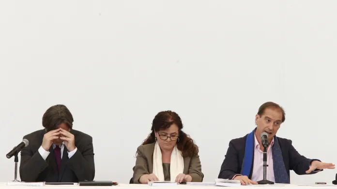 Mezinárodní panel vyšetřovatelů