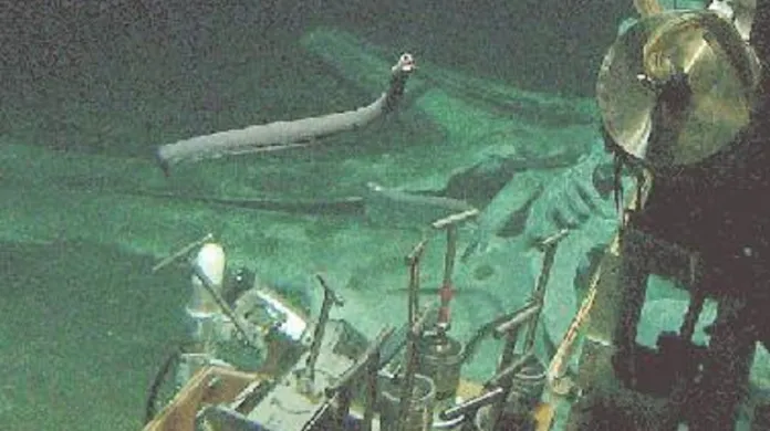 První snímek velrybí kostry na dně moře pořízený miniponorkou Alvin