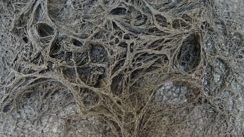 Jan Uldrych / Studie zdrojové struktury 2014