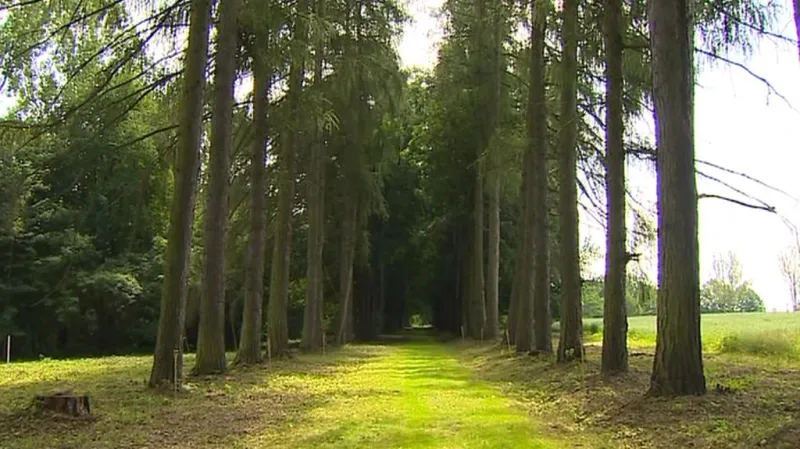 Alej v Mařížském parku