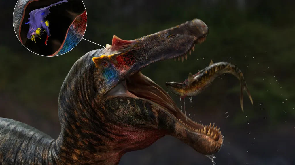 Spinosaurus