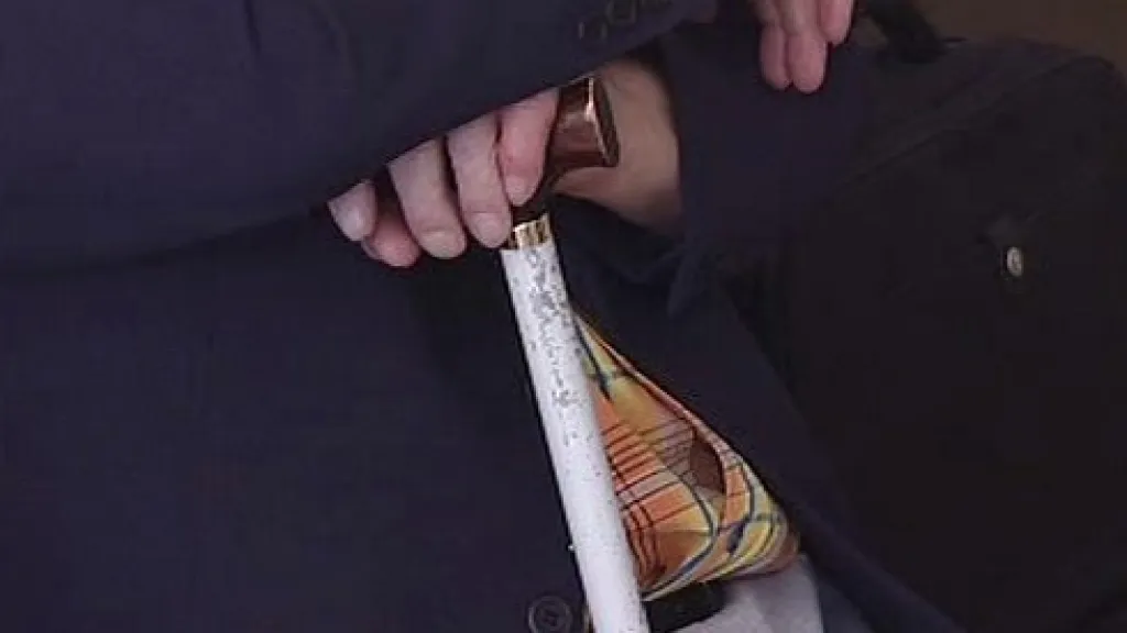 Bílá hůl