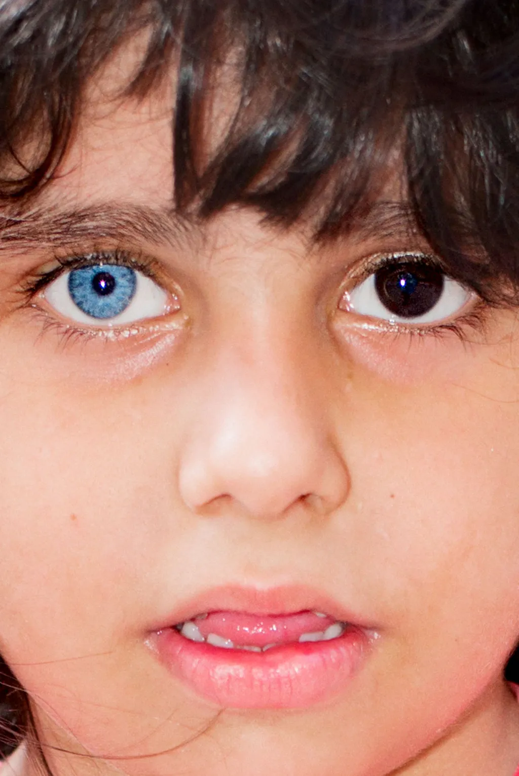 Jean-Marc Caimi & Valentina Piccinni (kategorie Discovery). „Güle Güle (v turečtině sbohem) je projekt zaměřený na město Istanbul a hluboké změny, kterými prochází. Fotografie pocházejí z různých prostředí, pronikají do složitosti města a jeho kontrastních mikrosvětů. Marginalizace chudších tříd, rostoucí diskriminace proti homosexualitě, masivní migrace syrských uprchlíků a otázka kurdské komunity jsou jen některé ze skrytých skutečností, které jsou za nimi zobrazeny.“