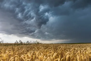 Vláda vedra skončí, vytlačí ho bouřky. Přívalové deště budou nejprudší na jihu republiky