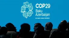 COP 29