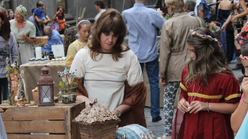 Středověké slavnosti Ludika 1243