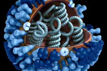 V Číně se na člověka poprvé přenesla ptačí chřipka H3N8. Riziko dalšího šíření je nízké