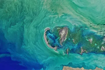 Stačilo dvacet let a oceány změnily barvu. Ubylo modré, přibylo zelené