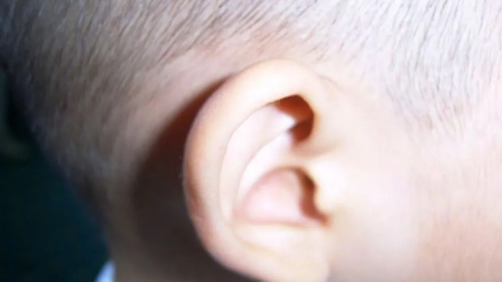 Dětské ucho