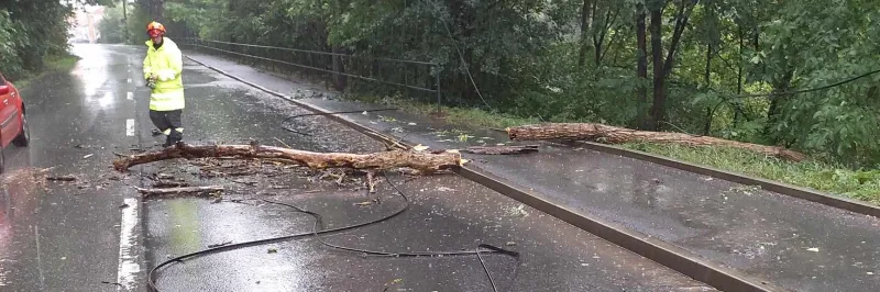 Hasiče zaměstnávaly silné bouřky, vichr na jihu Moravy lámal stromy