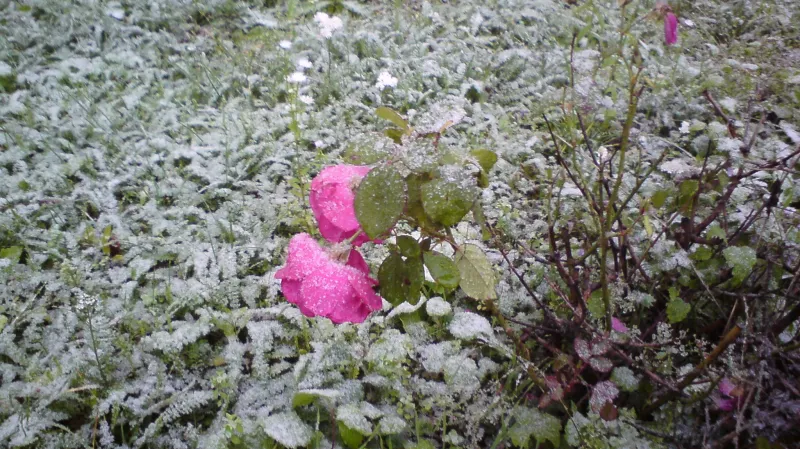 První sníh v Praze