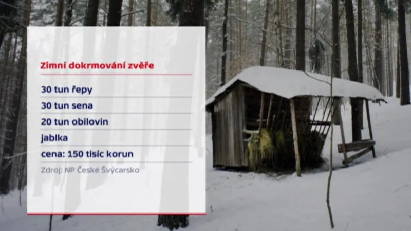 Dokrmování zvěře