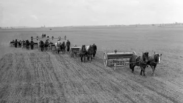 Jarní práce zemědělců JZD na polích v Mělnickém Vtelnu. Březen 1950