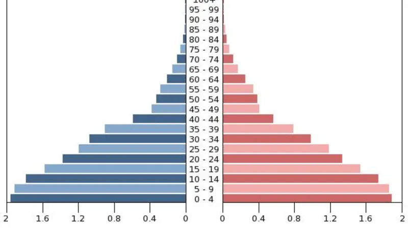 Populační pyramida Jemenu