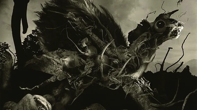 Galerie Gambit / Jiří Stach