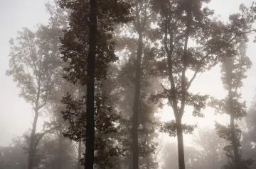 Během týdne se dle meteorologů ochladí a přijdou srážky