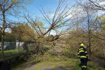 Česko zasáhl silný vítr. Padající strom v Sokolově zranil ženu a dítě