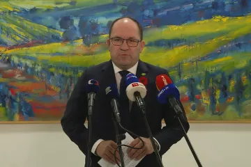 V chovu kachen na Vysočině se vyskytla ptačí chřipka, oznámil Výborný