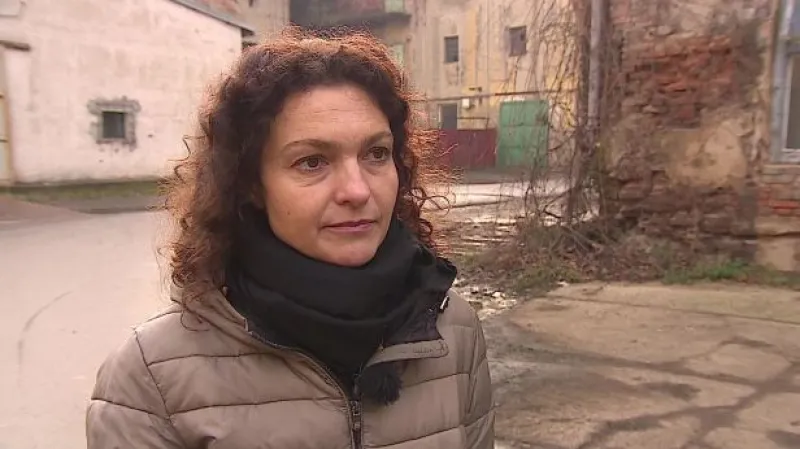 O výstavě hovoří kurátorka Andrea Březinová