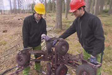 Na Vysočině pomáhá robot s ochranou stromů proti kůrovci