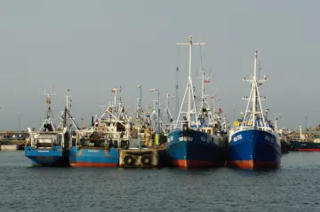 Tresky zmizely z Baltu, je špinavý a stále teplejší. Trpí tím mimo jiné polští rybáři