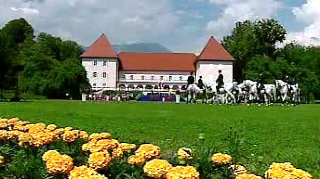 Slovinské Brdo