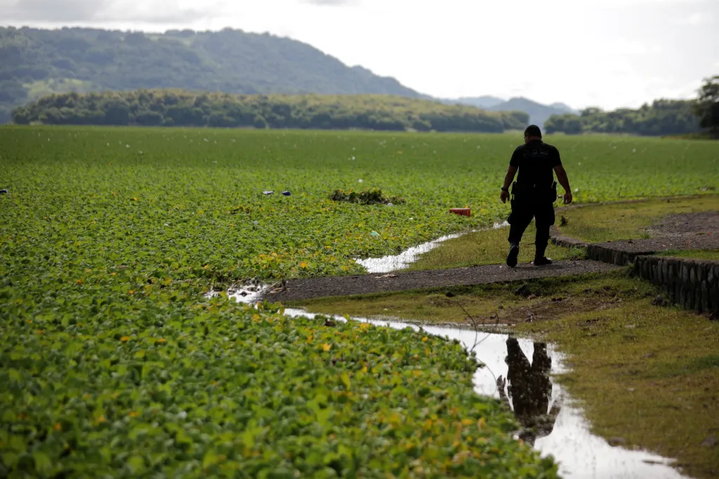 Nádrž pokrytá vodním salátem v salvadorském městě Suchitoto
