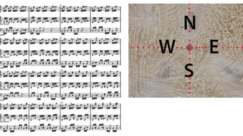 Alena Kupčíková / z cyklu Hudba lesa